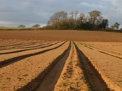 February 23 2004:<br>Furrows