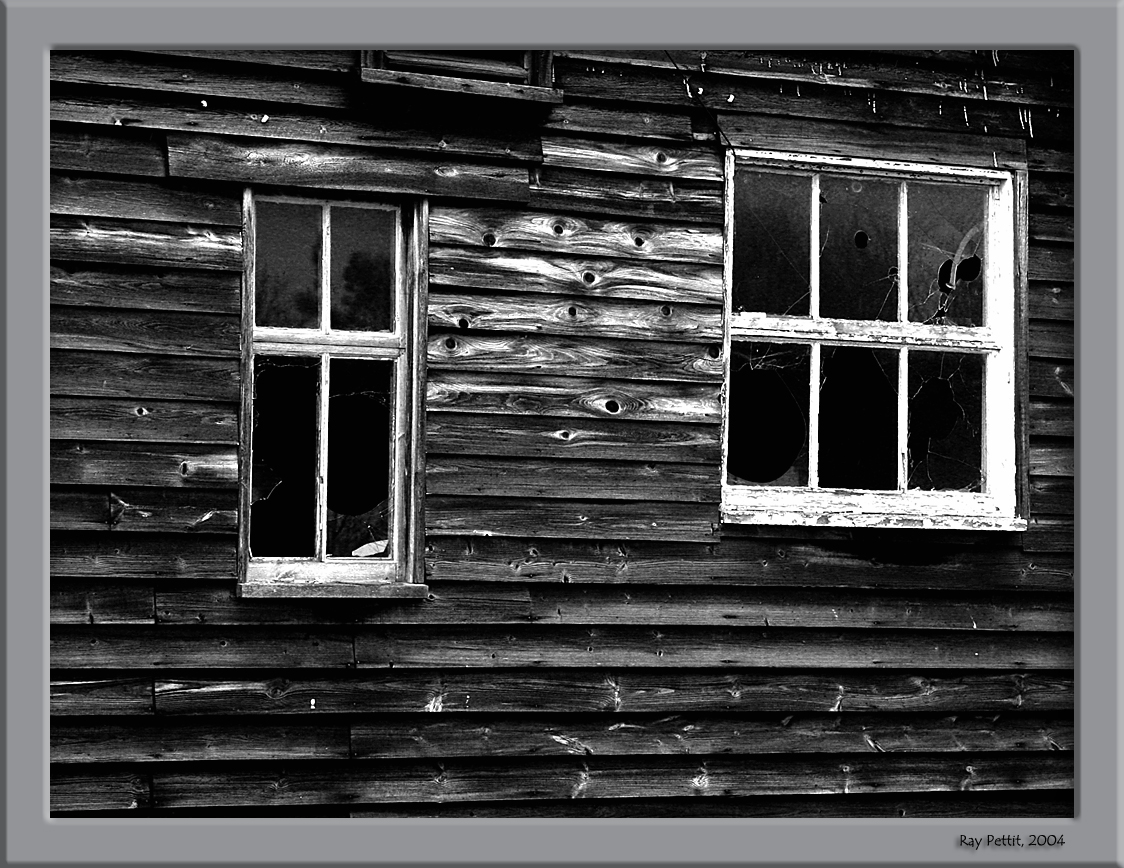 February 24 2004:<br> Texture in Wood