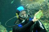 Aquarium cleaner