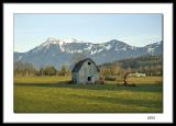 Old  Barn - Chilliwack