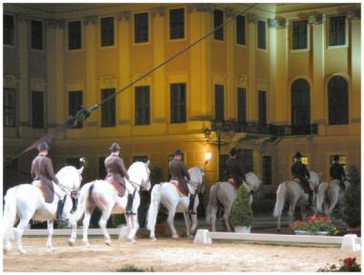 Spanish horse riding school