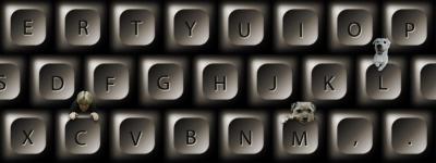 Type Face