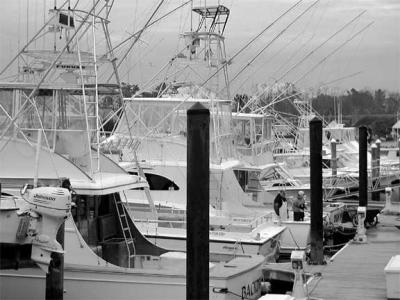 u40/coastalva/medium/26361299.fishingboats.jpg