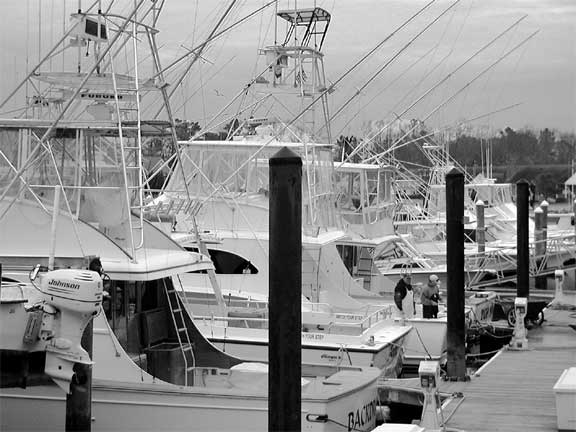 fishing-boats