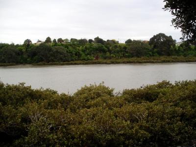 marshes.JPG