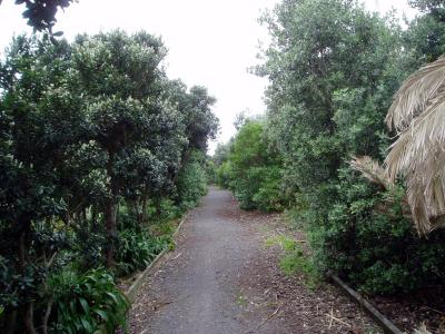 walkingpath.JPG
