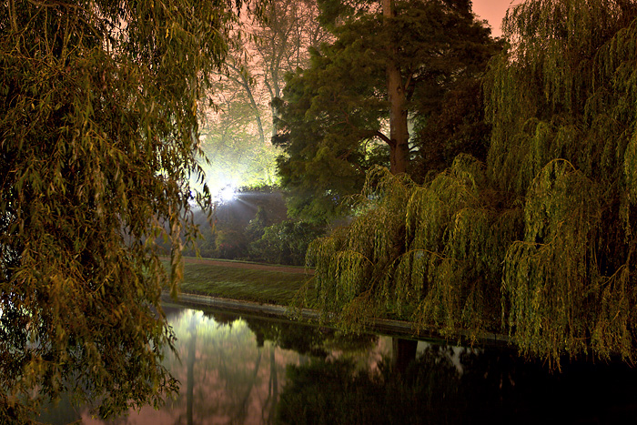 Willow Light