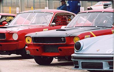 Pony Cars on the Pre-Grid