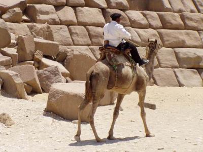 Policeman  in Giza.JPG