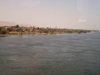 Nile bank in Luxor.JPG