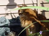 DSC08445.JPG