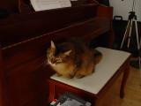 DSC04302.JPG