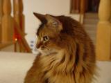 DSC04331.JPG