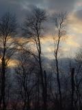 DSC04398.JPG