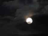 DSC04413.JPG