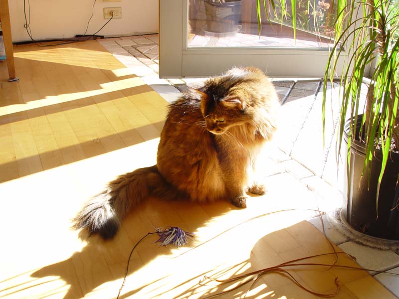 DSC08384.JPG