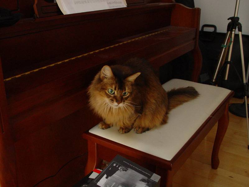 DSC04298.JPG