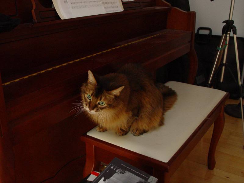 DSC04302.JPG