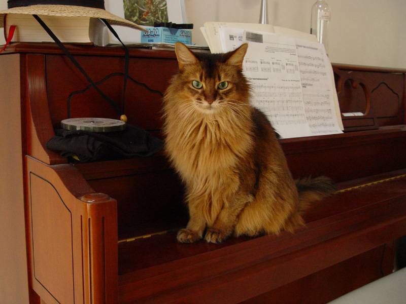 DSC04317.JPG