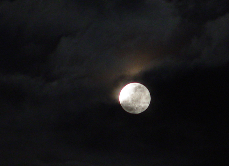 DSC04414.JPG