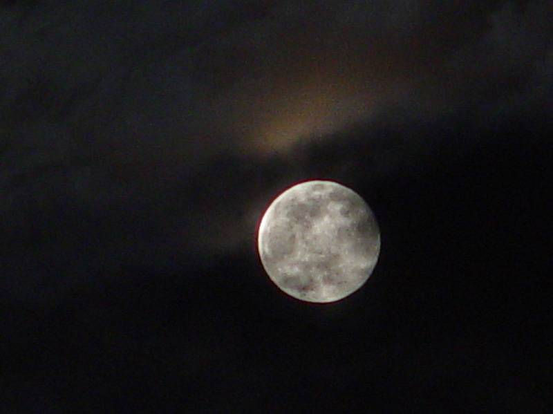 DSC04416.JPG