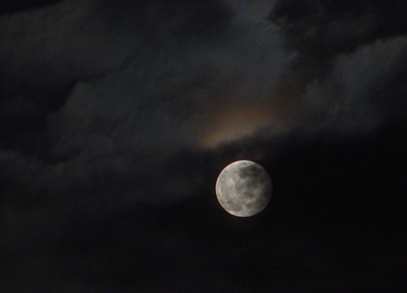 DSC04417.JPG