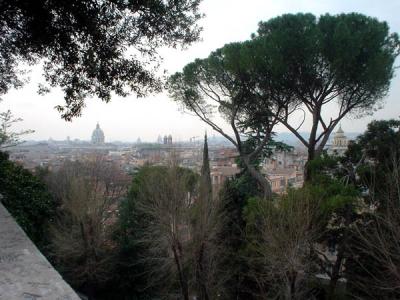 Looking Towards the Forum