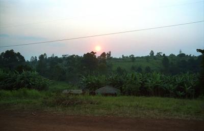 Uganda (Kibale Forest, Kampala & Queen Elizabeth NP)