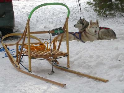 dog-sled.jpg
