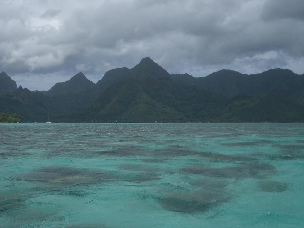 Pretty considering its cloudy.JPG