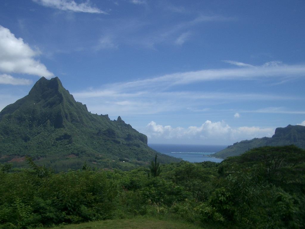 Cook Bay.JPG