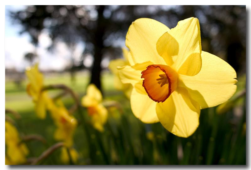 Hello Sunshine *