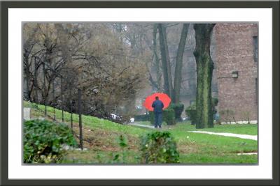 * Windsor Rain Art II by Lonnit Rysher