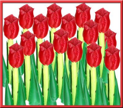 Inflatable Tulips*