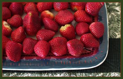 Early Berries*Ann Chaikin