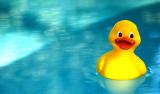 <B>Rubber Ducky*</B><BR> <i>by Scott Hopkins</i>