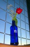 <b>Valentine Blue Bawls </b><br /><i>*Zack Schildhorn</i>