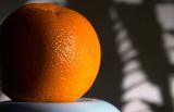 orange in shadow *