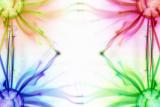 <b>blend</b><br /><i>*Zack Schildhorn</i>