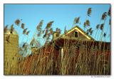 Barn and Grass