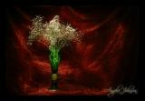 <b>Red & Green painted with light</b><BR> <i>by Angela Johnson</i>