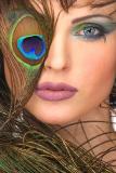 <B>6th Place (tie)</B><BR><i>Save Birds 3<br>by Rahul Dutta</i>