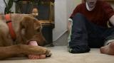 <B>Stolen Foot</B><BR><FONT size=2>*by Neil Enns</B><br>Tenth Place (tie)