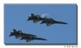Moon Flight.jpg