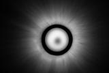 The Light Above