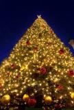 Stars of Season & Stars of Heaven<br><i>Michael Soo</i>