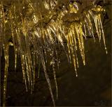 Frozen Light *
