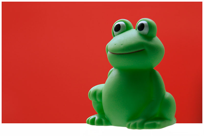 Portrait of a frog*