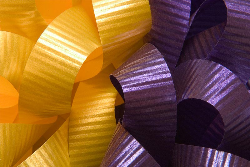 *<b>Ribbons</b> <br><i>by Tabs<i>