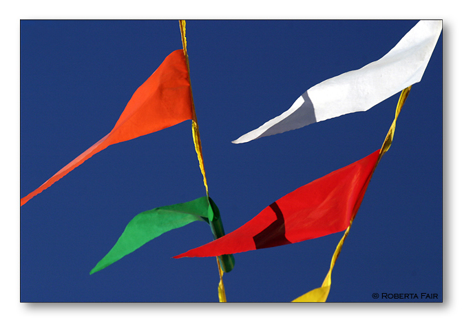 Flags